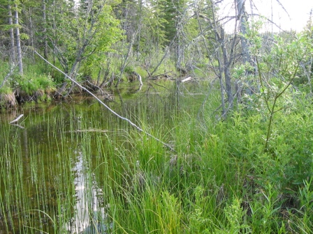 Clearwater River