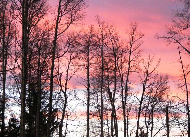 Sunset near Rocky Mountain House